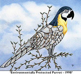 'Environmentally Protected Parrot - 1998'